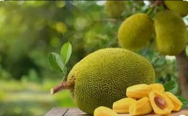 kathal