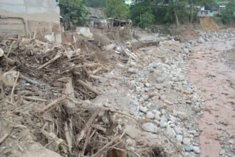 ভোলার নদীভাঙন এলাকায় পরিদর্শনরত কর্মকর্তার দৃশ্য