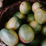 ৫ বক্স আম উপহার ও কূটনৈতিক সৌজন্য