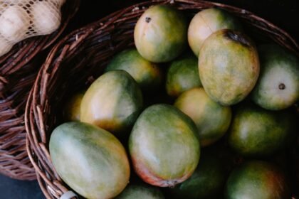 ৫ বক্স আম উপহার ও কূটনৈতিক সৌজন্য