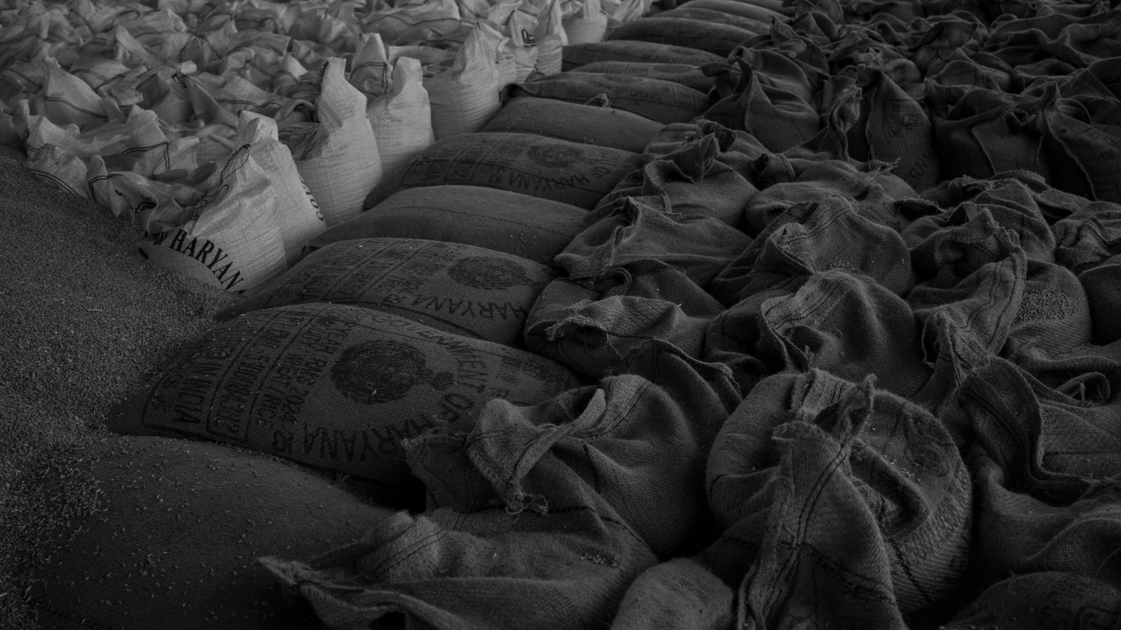দেশে খাদ্য মজুত ৩৪ লাখ টনে উন্নীত করার উদ্যোগ প্রদর্শনকারী একটি খাদ্য-সংরক্ষণ চিত্র