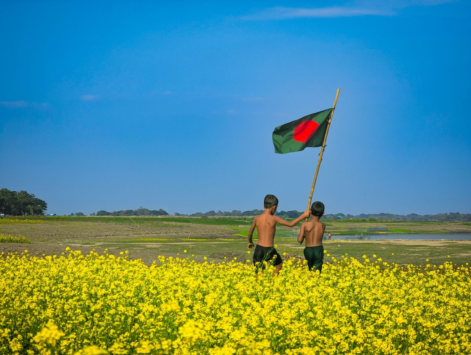 নতুন বাংলাদেশ গড়ার রাজনৈতিক বার্তা, এনসিপির প্রতিশ্রুতির প্রসঙ্গ