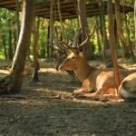প্রাথমিক বিজ্ঞান প্রশ্নে আবাসস্থল ও অভিযোজন বিষয়ক চিত্র