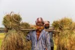কৃষি খাতের সহায়তা ও কৃষকের ঋণ মওকুফ বিষয়ক বার্তা