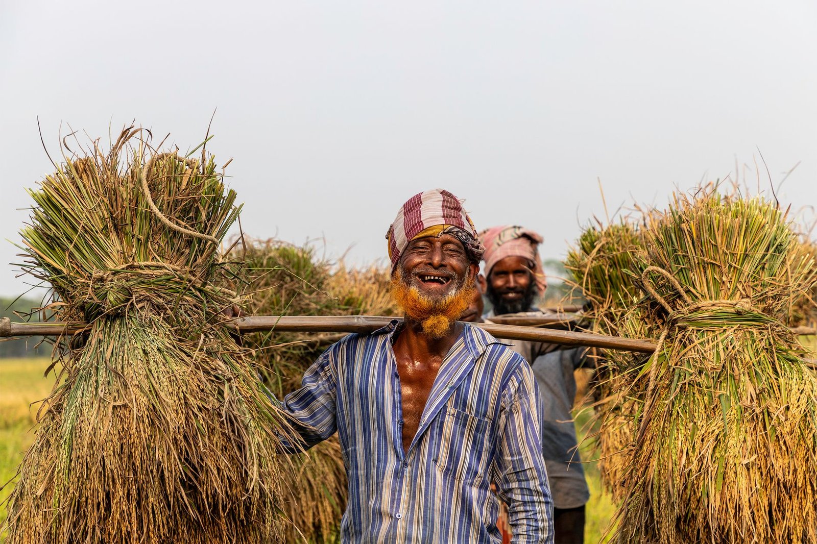কৃষি খাতের সহায়তা ও কৃষকের ঋণ মওকুফ বিষয়ক বার্তা