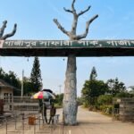 শ্রীপুরের বঙ্গবন্ধু শেখ মুজিব সাফারি পার্কে দর্শনার্থী ও কর্মচারীদের সংঘর্ষের ঘটনা