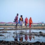 ভূমি ব্যবস্থাপনা ও ন্যায্যতার প্রতীকী ছবি