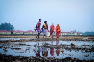 ভূমি ব্যবস্থাপনা ও ন্যায্যতার প্রতীকী ছবি