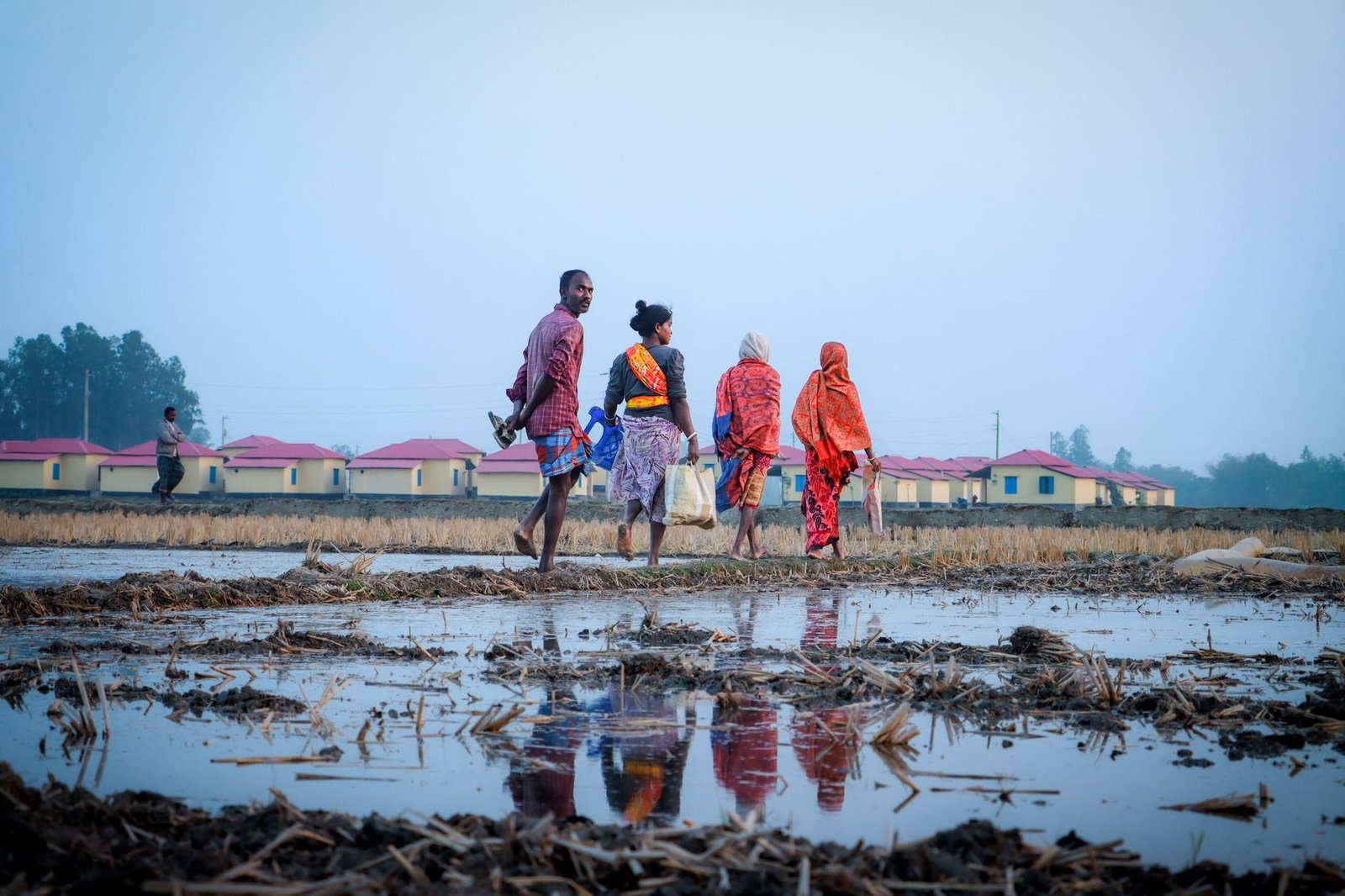 ভূমি ব্যবস্থাপনা ও ন্যায্যতার প্রতীকী ছবি