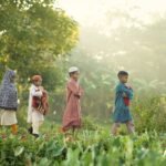 দাখিল-আলিম মাদ্রাসার অ্যাডহক কমিটি বাতিল ও নতুন কমিটি গঠনের নির্দেশ সংক্রান্ত বিজ্ঞপ্তি