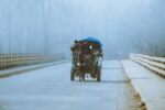 বঙ্গবাজার ও সিদ্দিকবাজার এলাকায় সড়কে চলাচলকারী ঘোড়ার গাড়ি