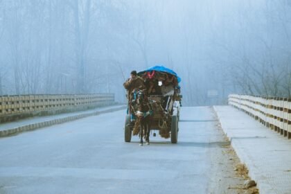 বঙ্গবাজার ও সিদ্দিকবাজার এলাকায় সড়কে চলাচলকারী ঘোড়ার গাড়ি
