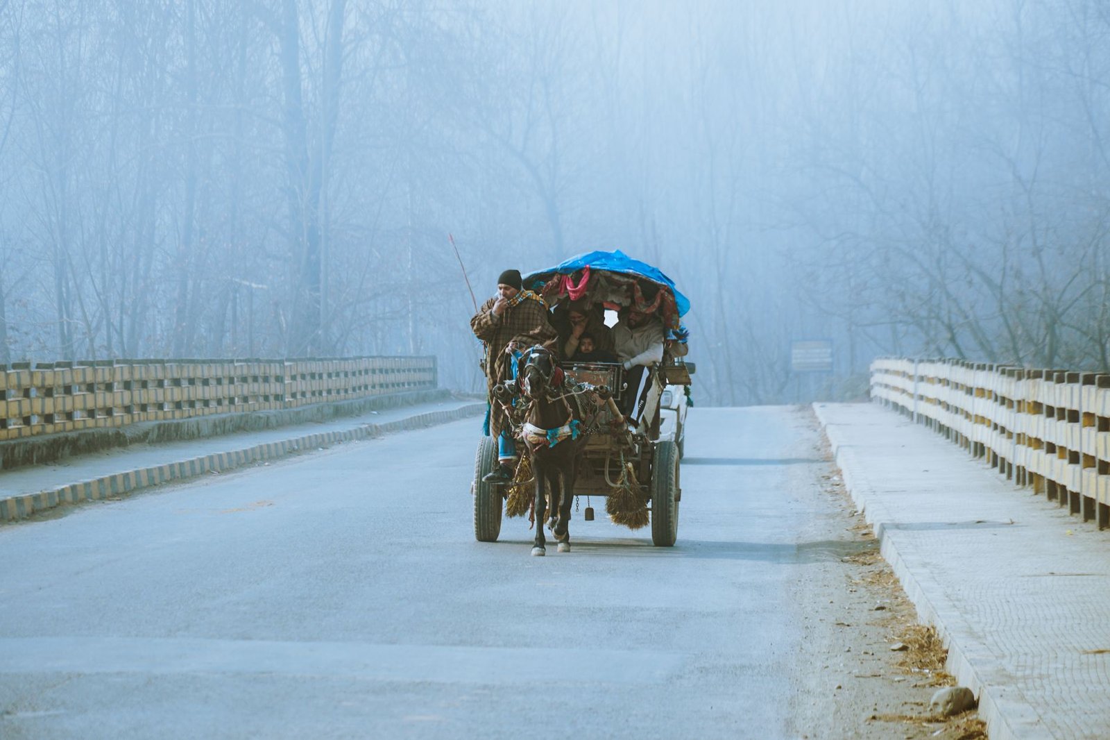 বঙ্গবাজার ও সিদ্দিকবাজার এলাকায় সড়কে চলাচলকারী ঘোড়ার গাড়ি