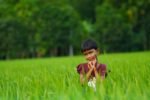 তেজগাঁওয়ের হলি ক্রস এলাকায় এসএসসি ফল উৎসবে শিক্ষার্থী ও অভিভাবকদের আনন্দ