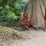 পাটের উৎপাদন ও বাজার দর দেখাচ্ছে এমন প্রতীকী ছবি