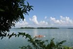 কাপ্তাই হ্রদে মৎস্য আহরণ শুরুর প্রতীকী ছবি