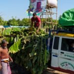 কৃষক ও বাজারব্যবস্থা ঘিরে খাদ্যপণ্যের মূল্যব্যবধান দেখাচ্ছে
