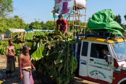 কৃষক ও বাজারব্যবস্থা ঘিরে খাদ্যপণ্যের মূল্যব্যবধান দেখাচ্ছে