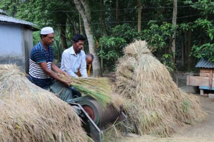 লোডশেডিংয়ের কারণে চালকলের ড্রায়িং প্রক্রিয়ায় সমস্যা, নওগাঁর চালের মান ঝুঁকিতে