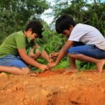 নেত্রকোণায় শিক্ষক ও শিক্ষার্থীদের মধ্যে গাছের চারা বিতরণ