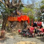 ভৈরবে রেলওয়ের জায়গায় অনুমতি ছাড়া শতবর্ষী বটগাছ কাটার ঘটনার প্রতীকী ছবি