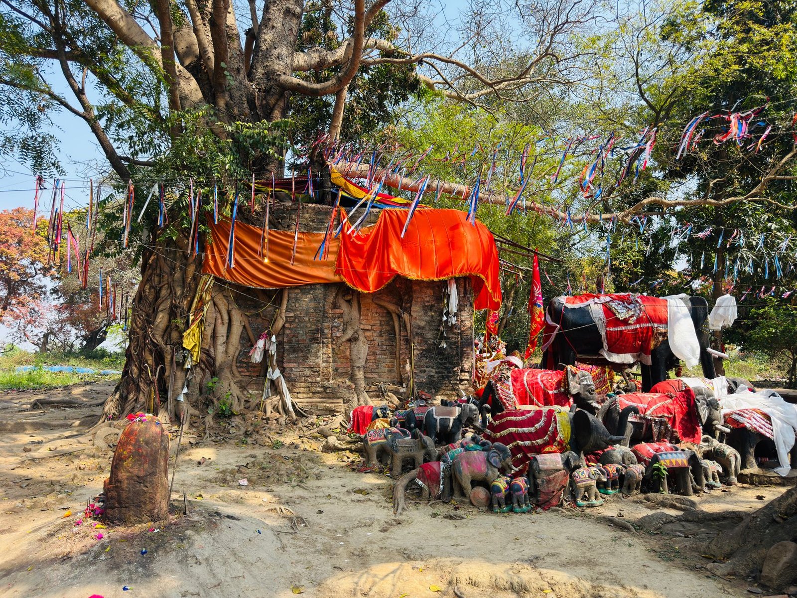 ভৈরবে রেলওয়ের জায়গায় অনুমতি ছাড়া শতবর্ষী বটগাছ কাটার ঘটনার প্রতীকী ছবি