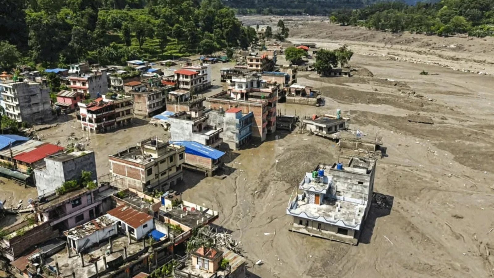 অজানা প্রজাতির মাছ খাওয়া থেকে বিরত থাকার জন্য সতর্কবার্তা জারি
