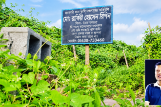 পতেঙ্গায় চাঁদাবাজির অভিযোগে কৃষক দলের আলমগীর, উঠছে নানা খাতের তথ্য