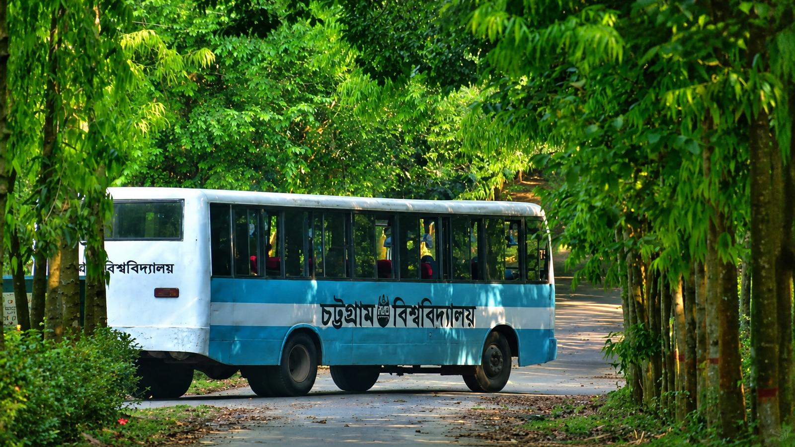 সিএনজি চলাচল বন্ধের পর চবিতে ৪টি চক্রাকার বাস চালুর ঘোষণা