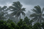৭ জেলায় ঝড়সহ বজ্রবৃষ্টির সম্ভাবনা, সতর্ক সংকেত