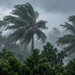 ৭ জেলায় ঝড়সহ বজ্রবৃষ্টির সম্ভাবনা, সতর্ক সংকেত